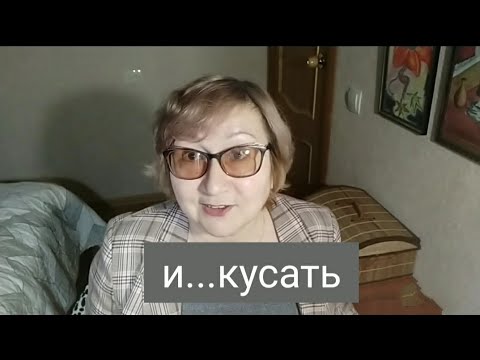 Видео: З или С в приставке? Правописание приставок на з/с Понятный русский