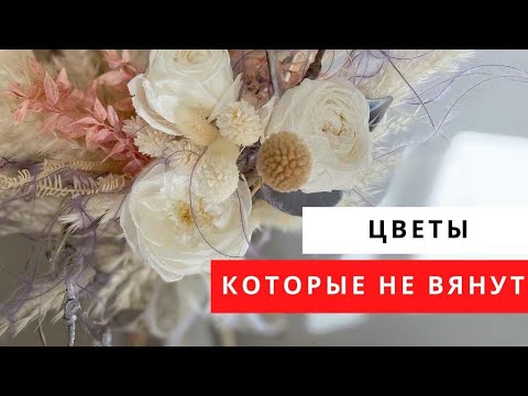 Видео: Цветы, которые не вянут // флористика для начинающих