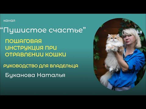 Видео: ОТРАВЛЕНИЕ КОШКИ - ПЕРВАЯ ПОМОЩЬ