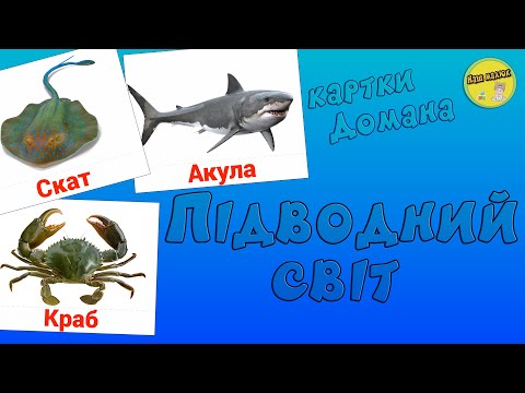 Видео: Підводний світ | Розвиваючі відео | Картки Домана онлайн