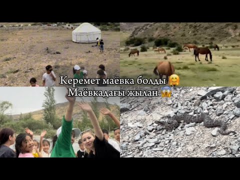 Видео: Маёвка керемет жылан болмаса 😱🤗