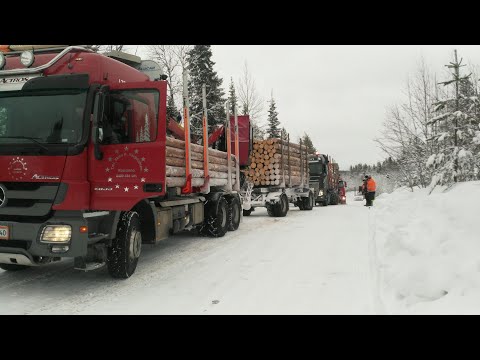 Видео: Ледовый путь. Викинг. Дальнобой