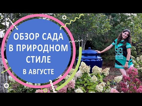 Видео: Обзор сада в природном стиле в августе