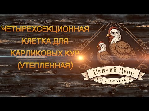 Видео: четырехярусная клетка для карликовых кур