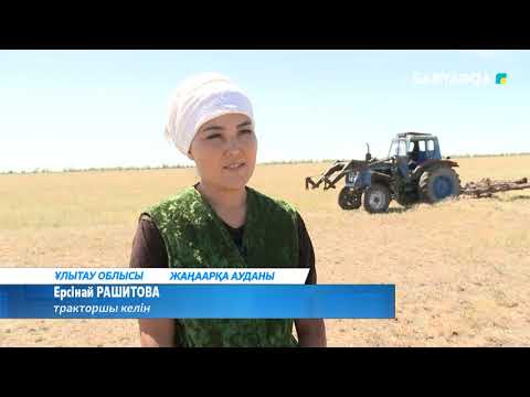 Видео: Тракторшы келіннің тынымсыз тірлігі