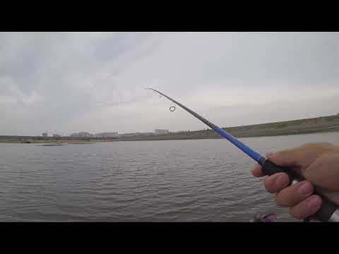 Видео: Тест Major Craft Vierra 802m