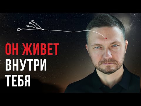 Видео: Избавься от НЕГО и ЖИЗНЬ ИЗМЕНИТСЯ. Люди не знают об этом.