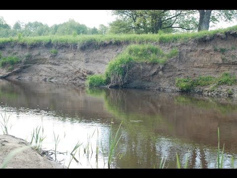 Видео: Ловля голавля в микроречке на воблеры Yo-zuri L-Minnow.  Chub of small rivers