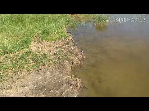 Видео: Оз.Жалтыр