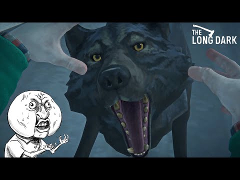 Видео: ПЕРВОЕ НАПАДЕНИЕ ВОЛКОВ ► THE LONG DARK #6