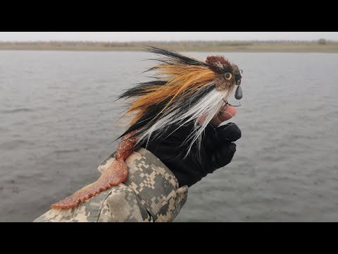 Видео: Mego Mouse, одна из лучших приманок для осени.
