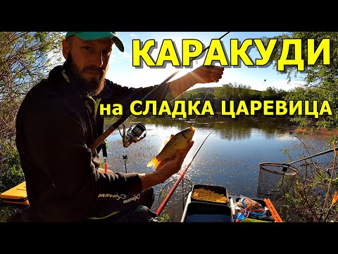 Видео: КАРАКУДИ на СЛАДКА ЦАРЕВИЦА РИБОЛОВ на ПЛУВКА.Как да ловим каракуди , монтаж , такъми и тактика.