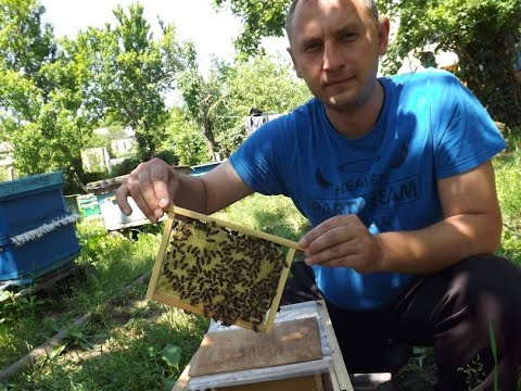 Видео: Приглашаю на мастер класс матководство