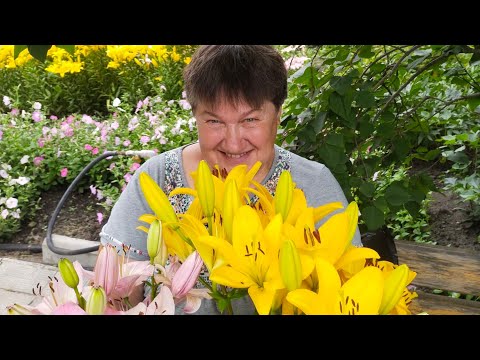 Видео: МАМА ЖДЕТ НАС!)ДЕГИДРАТОР😍БУДУ СУШИТЬ И ГОРЯ НЕ ЗНАТЬ!ПРОДАВАТЬ УСЫ КЛУБНИКИ? И ПОЧЕМ??