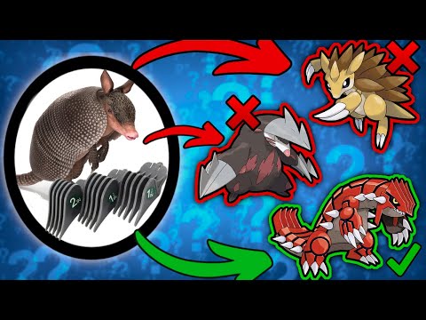 Видео: Викторина о покемонах, но вопросы невероятно глупые (с Truegreen7)