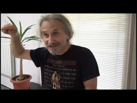 Видео: Где Ум прикреплен к мозгу, а Душа к телу. Днепр июль 2020