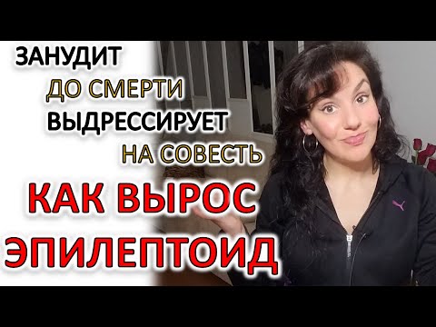 Видео: ЭПИЛЕПТОИД: КАК ОН ТАКОЙ ПОЛУЧИЛСЯ