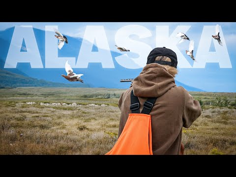 Видео: Охота на куропатку в отдалённой Аляске