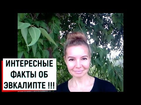 Видео: ИНТЕРЕСНЫЕ ФАКТЫ ОБ ЭВКАЛИПТЕ !!!