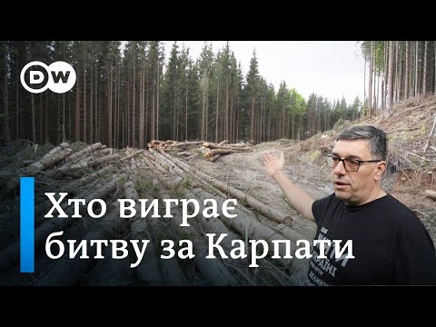 Видео: "Коломойські" Карпати і вирубка лісів: хто виграє битву за Свидовець? | DW Ukrainian