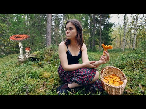 Видео: Моё путешествие по познанию магии грибов 🍄