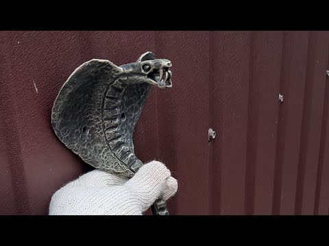 Видео: Кована кобра.