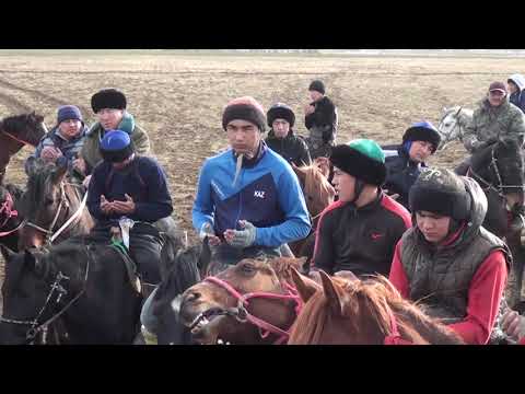 Видео: Жуматайулы Нурсултан палуан кокпары Титош палуан Тассай Шымкент