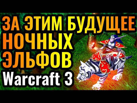 Видео: ШЕДЕВР с ЖРИЦЕЙ ЛУНЫ: За этим героем - БУДУЩЕЕ Эльфов в Warcraft 3 Reforged