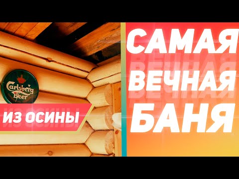 Видео: Вся правда об осиновой бане. Плюсы и минусы. Обзор | Русский Лес