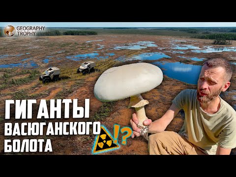 Видео: УЖАСЫ И ЗАГАДКИ ВАСЮГАНСКОГО БОЛОТА. Тайны спрятанные в непроходимых топях.