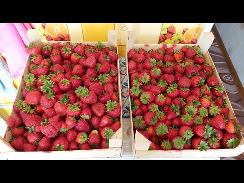 Видео: ВКУС ДЕТСТВА - Клубника протёртая с сахаром в автоклаве Вейн