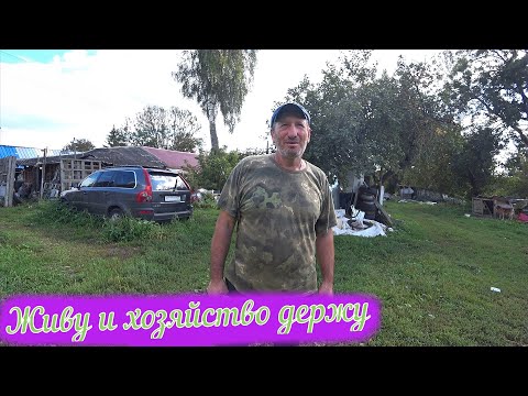 Видео: Деревня Покровское / Жизнь в деревне / Заброшенные деревни Тульская область, Чернский район