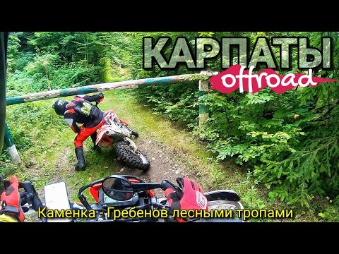 Видео: Дикие Карпаты/ Пешие тропы на мотоцикле/ Нарезаем новый маршрут/ Carpathians offroad