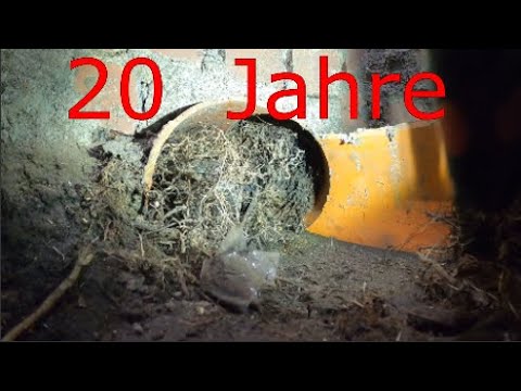 Видео: Kempinger 473.Трудоемкое удаление массивного корня в ливневой канализации, существующей более 20 лет