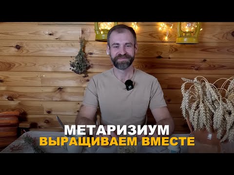 Видео: НЕОГРАНИЧЕННЫЙ ЗАПАС МЕТАРИЗИУМА. Как в домашних условиях наращивать самостоятельно метаризиум.