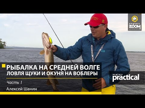 Видео: Рыбалка на Средней Волге. Крупный окунь на воблеры-минноу. Алексей Шанин. Часть 1. Anglers Practical