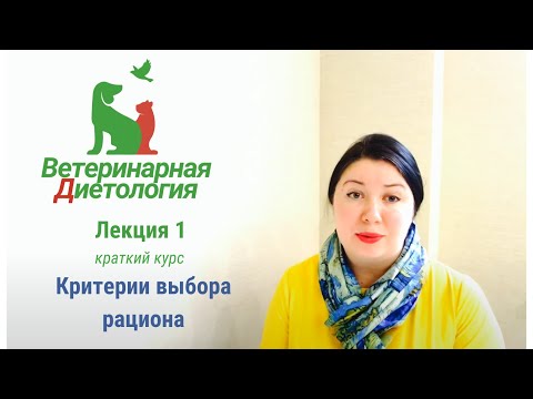 Видео: Лекция 1 краткий курс . Как выбрать рацион для домашнего питомца #ветеринарнаядиетология #питомец