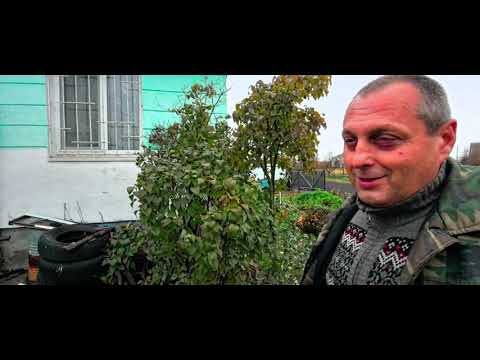 Видео: Продаётся дом в Минской области, Пуховичский район, деревня Пережир. За 50 тысяч долларов.