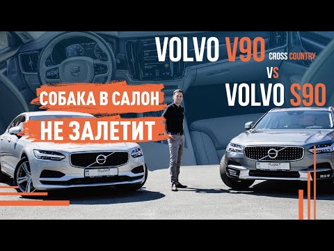 Видео: Volvo V90 vs S90! Собака в салон не залетит