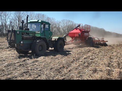 Видео: Сплошной посев подсолнечника No-Till - Turbosem с Т-150