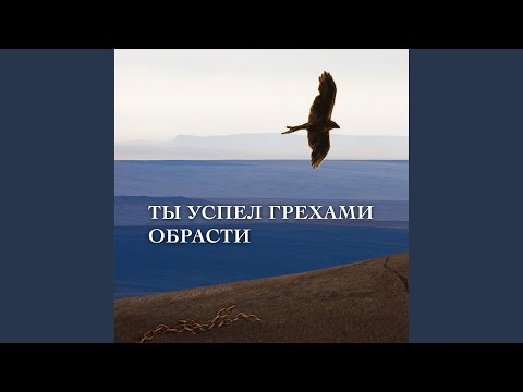 Видео: Ты успел грехами обрасти (Acoustic Version)