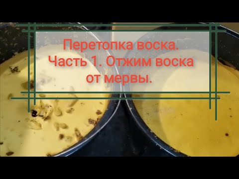 Видео: Перетопка воска. Часть 1. Отжим с помощью центрифуги без парогенератора
