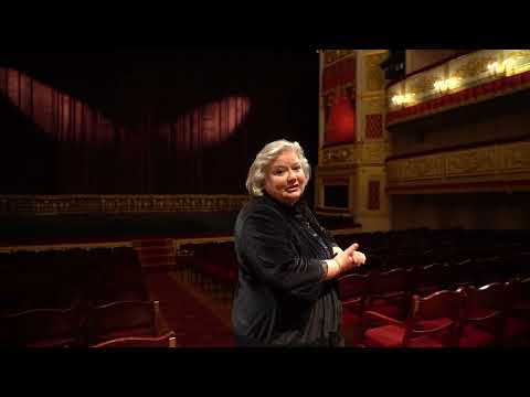 Видео: Экскурсии Александринского театра