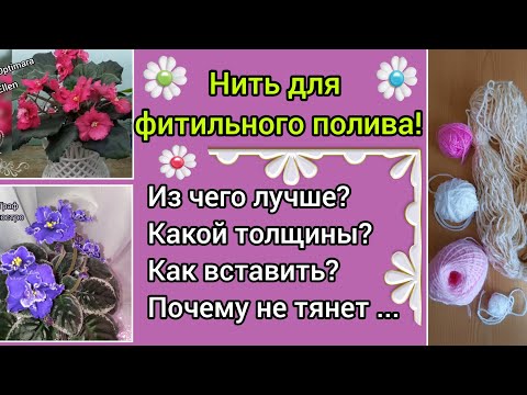 Видео: Нить для фитильного полива фиалок! Отвечаю на ваши вопросы: из чего, толщина, не тянет воду, как ...