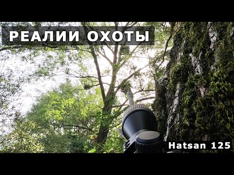 Видео: РЕАЛИИ ОХОТЫ с ПНЕВМАТИЧЕСКОЙ ВИНТОВКОЙ Хатсан. Думал все так просто?