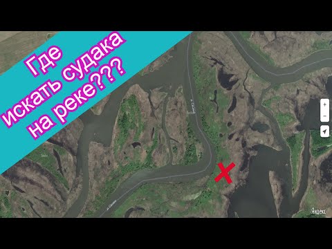 Видео: Где искать судака на реке/Выбор места ловли/Ловля судака с берега