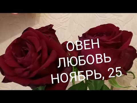 Видео: ОВЕН ЛЮБОВЬ НОЯБРЬ 2025 года
