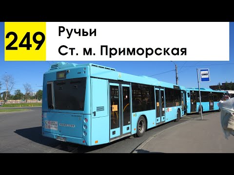 Видео: Автобус 249 "Ст. м. "Приморская" - Ручьи"