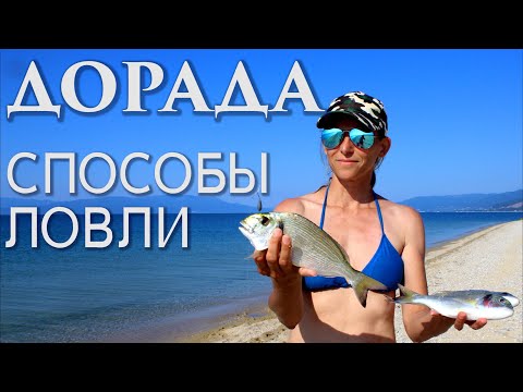 Видео: Дорада.  Секреты рыбака!!!