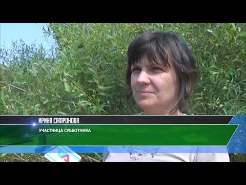 Видео: Более 200 человек вышли на субботник в Денисовском районе